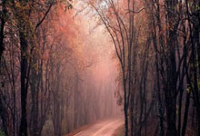 悟空游戏厅怎么样,值得下载吗?