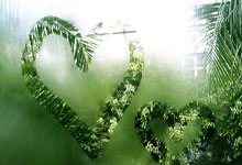 葡萄牙杯冠军意味着什么?